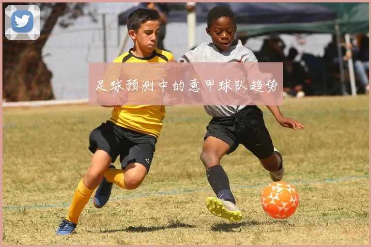 足球预测中的意甲球队趋势