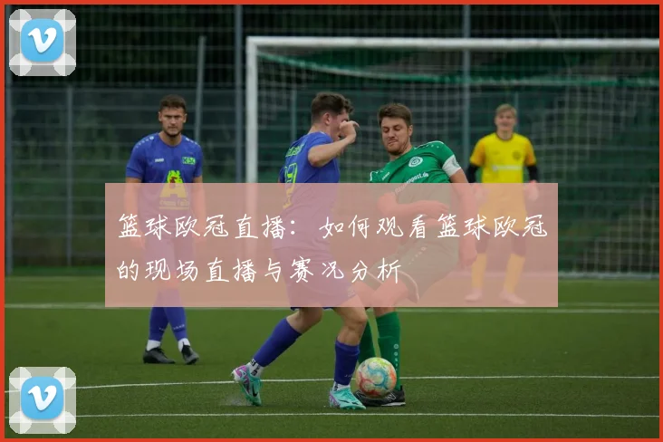 篮球欧冠直播：如何观看篮球欧冠的现场直播与赛况分析