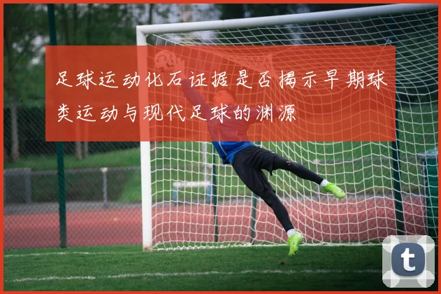 足球运动化石证据是否揭示早期球类运动与现代足球的渊源